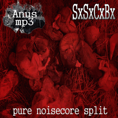 SxSxCxBx : Pure Noisecore Split